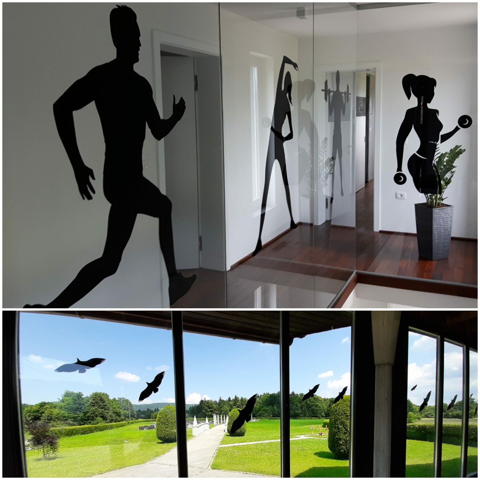 Nalepke steklo ptice in silhuete