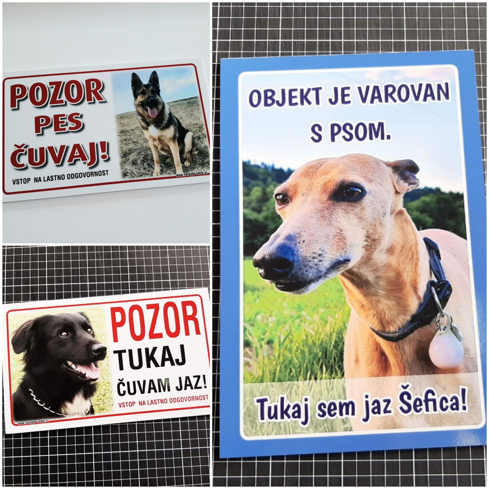 Pasje tablice po narocilu